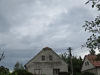 Třibřichy