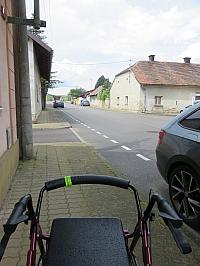 Třibřichy