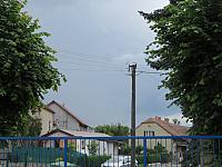 Třibřichy