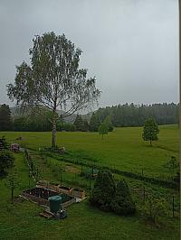 Mařenice