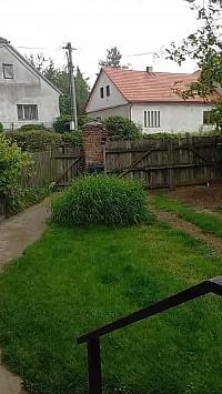 Třibřichy