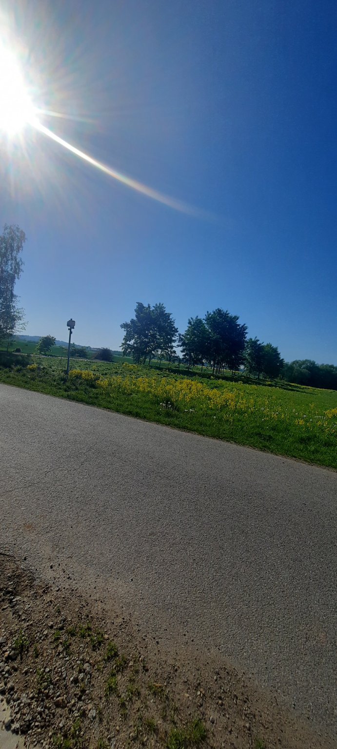 Vodňany