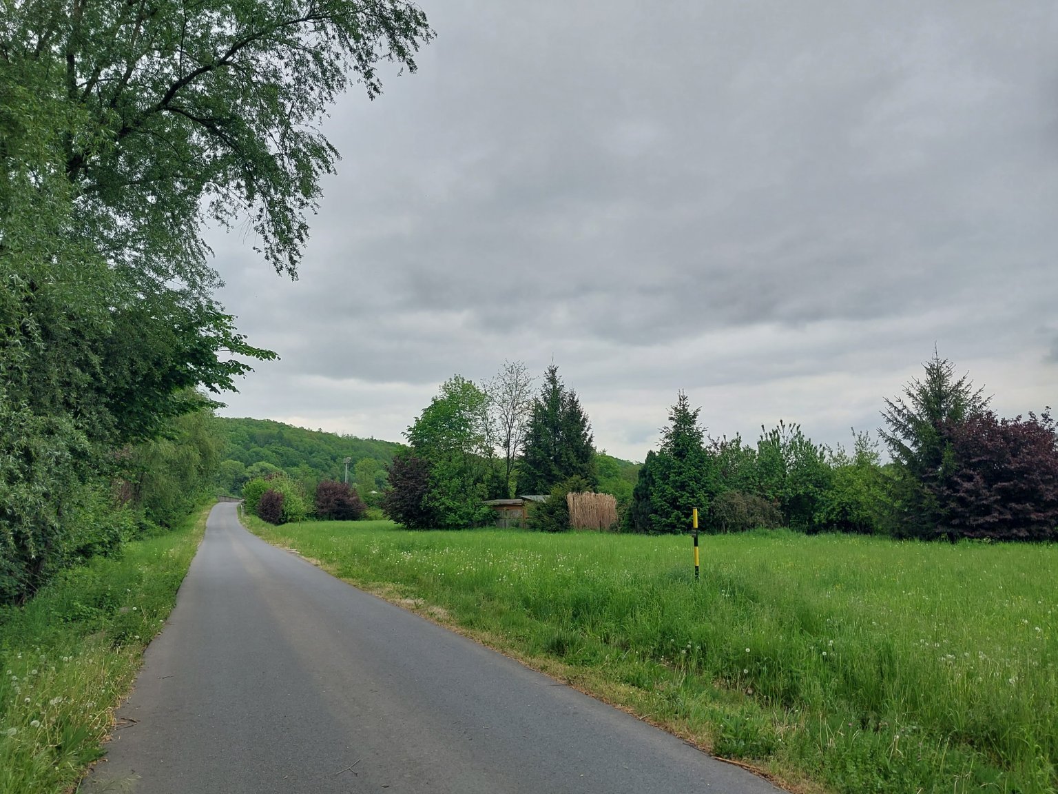Ropice