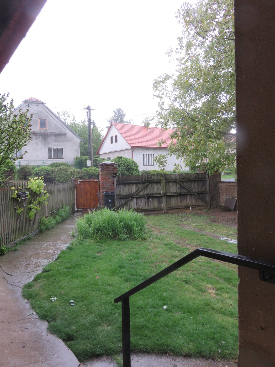Třibřichy