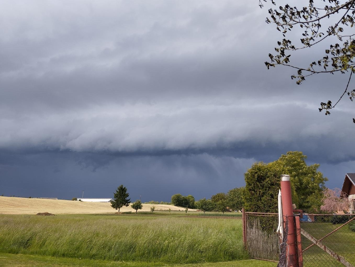 Luže