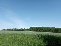 Lukovany