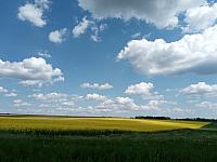 Lukovany