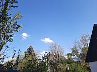 Olešná