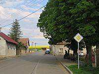 Třibřichy
