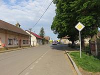 Třibřichy