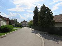 Třibřichy