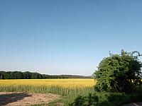 Lukovany