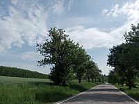 Lukovany