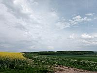 Lukovany