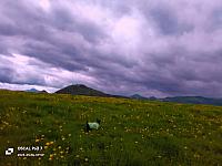 Nižná