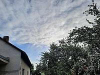 Olešná