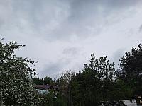 Olešná