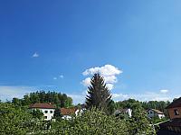 Olešná