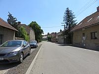 Třibřichy