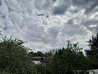 Olešná