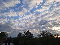 Olešná