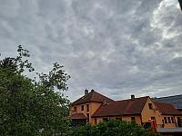 Olešná