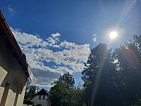Olešná