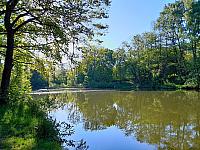 Studánka