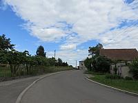 Třibřichy