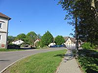 Třibřichy
