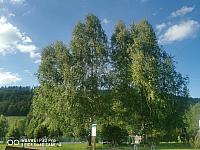 Holčovice