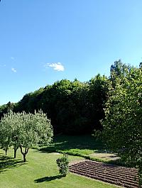 Hvozdnica