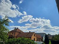 Olešná