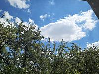 Olešná