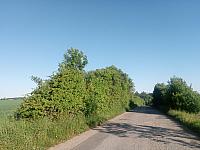 Lukovany