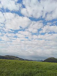 Nižná