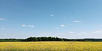 Lukovany