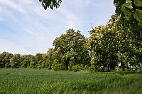 Kladno