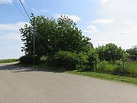 Třibřichy