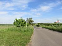 Třibřichy