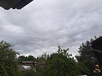 Olešná