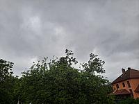 Olešná