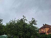 Olešná