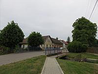 Třibřichy