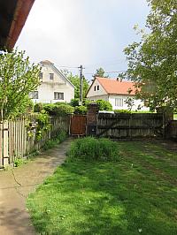 Třibřichy