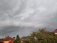 Olešná