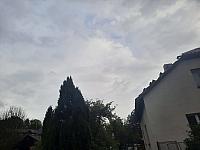 Olešná