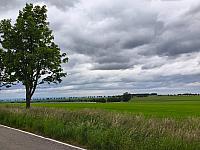 Fotografie