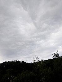 Hvozdnica
