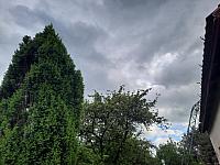 Olešná